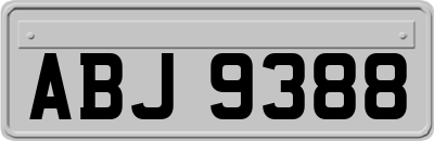 ABJ9388