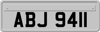 ABJ9411