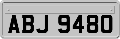 ABJ9480