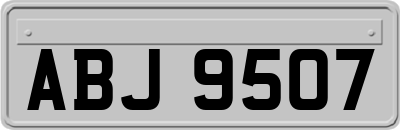 ABJ9507