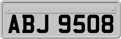 ABJ9508