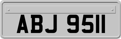 ABJ9511