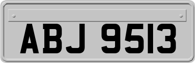 ABJ9513