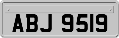 ABJ9519