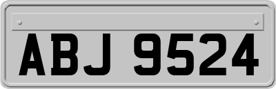 ABJ9524