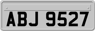 ABJ9527