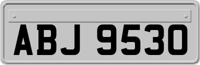ABJ9530