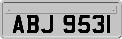 ABJ9531