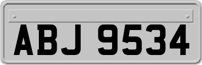 ABJ9534