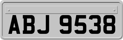 ABJ9538