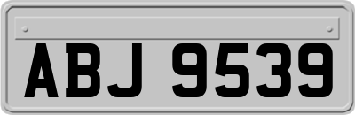 ABJ9539