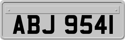 ABJ9541