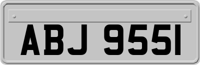 ABJ9551