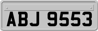 ABJ9553