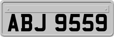 ABJ9559