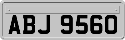 ABJ9560