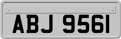 ABJ9561