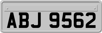 ABJ9562
