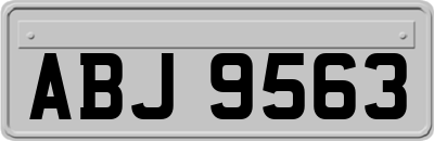 ABJ9563