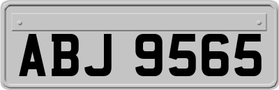 ABJ9565