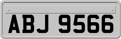 ABJ9566