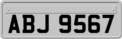 ABJ9567