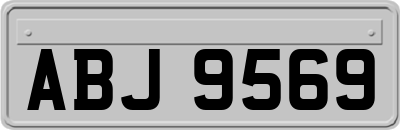 ABJ9569