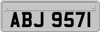ABJ9571