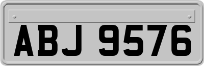 ABJ9576