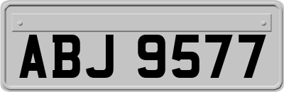 ABJ9577