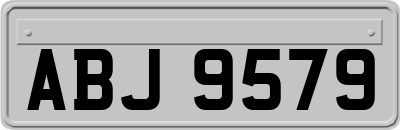 ABJ9579