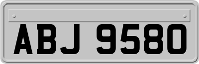 ABJ9580