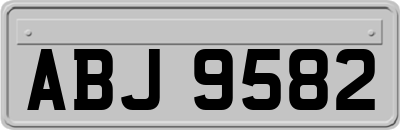 ABJ9582