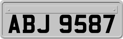 ABJ9587