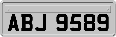 ABJ9589