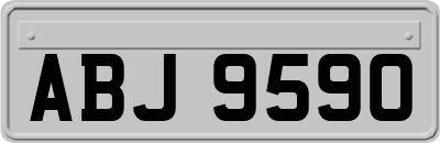 ABJ9590