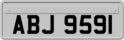 ABJ9591
