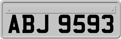ABJ9593