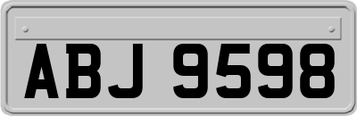 ABJ9598