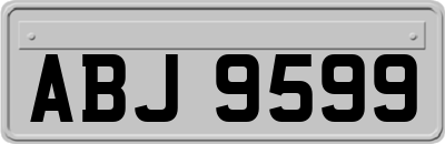 ABJ9599