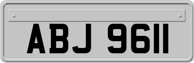 ABJ9611