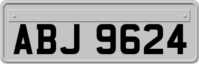 ABJ9624