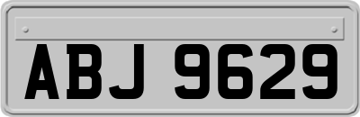 ABJ9629