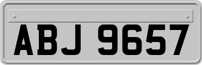 ABJ9657