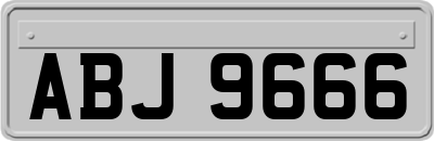 ABJ9666