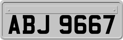 ABJ9667