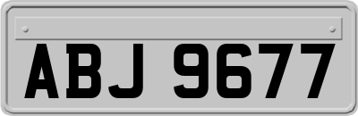 ABJ9677