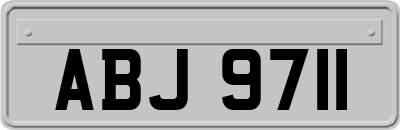 ABJ9711