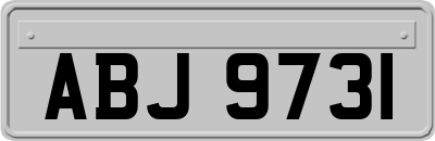ABJ9731