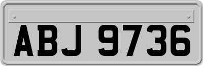 ABJ9736
